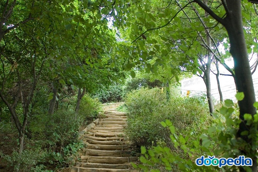생태통로 - 생태연결교량 옆 샛길