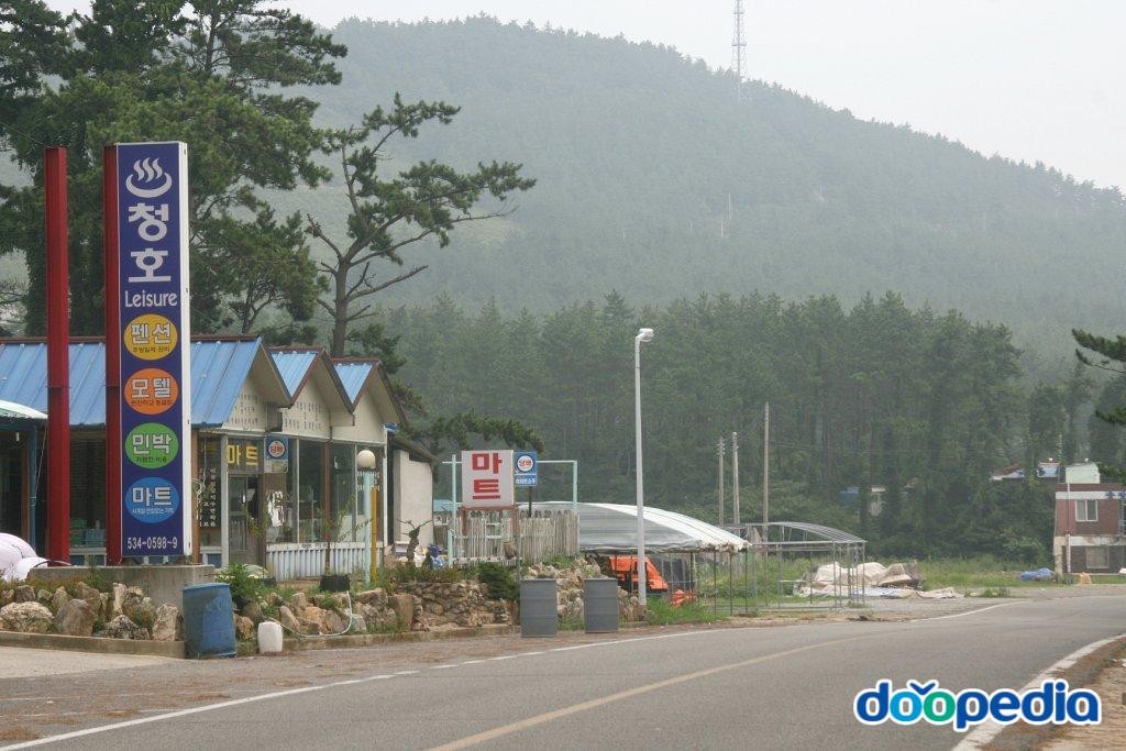송호해수욕장