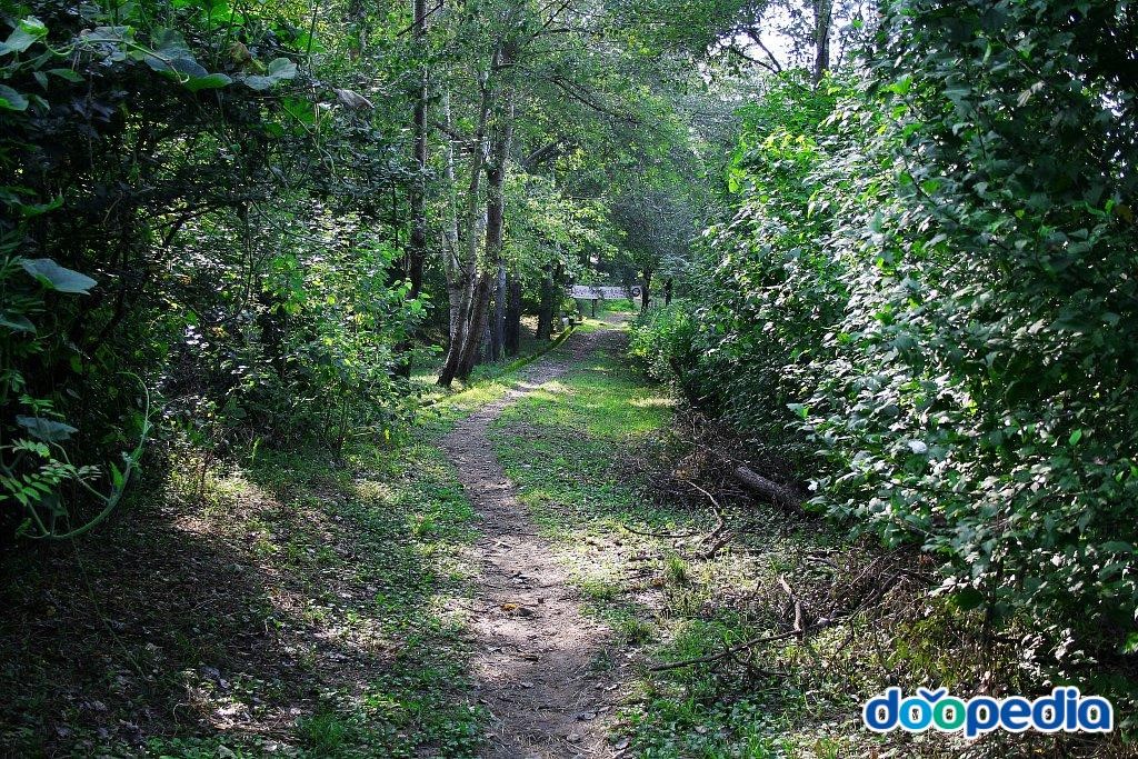 수성유원지 - 수성유원지 체육공원 오솔길