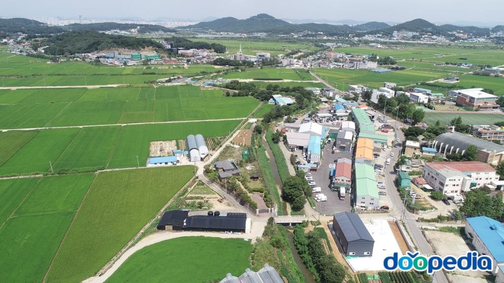 신리천