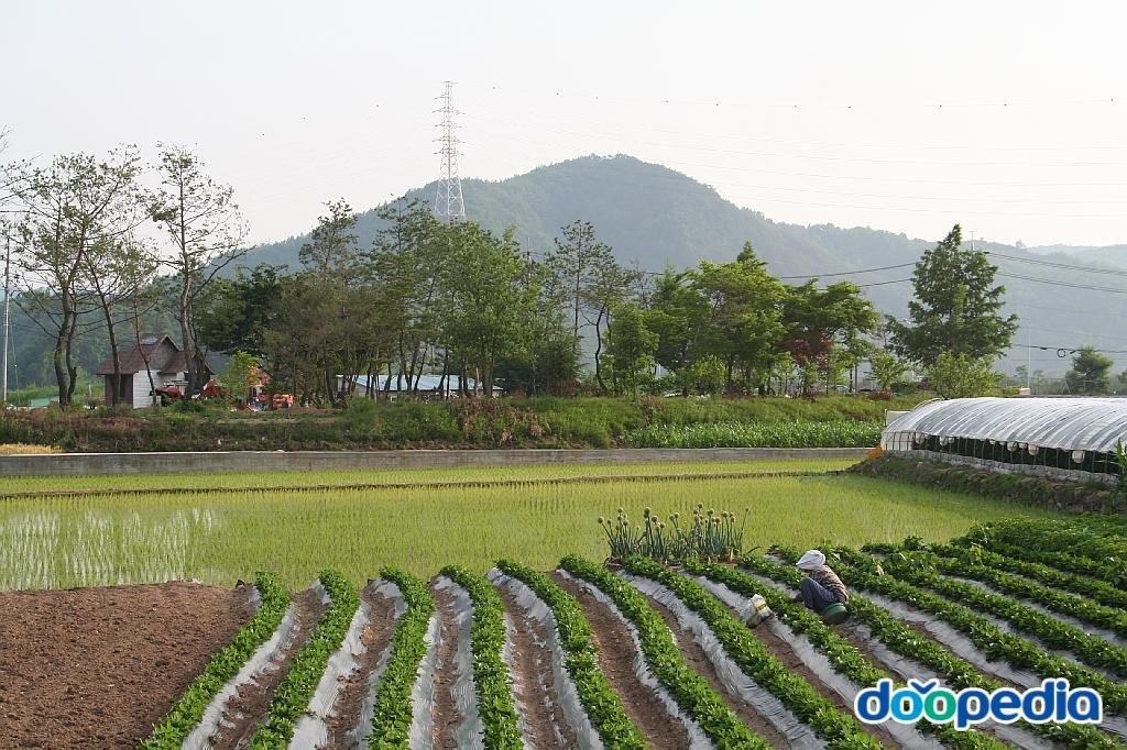 송천동