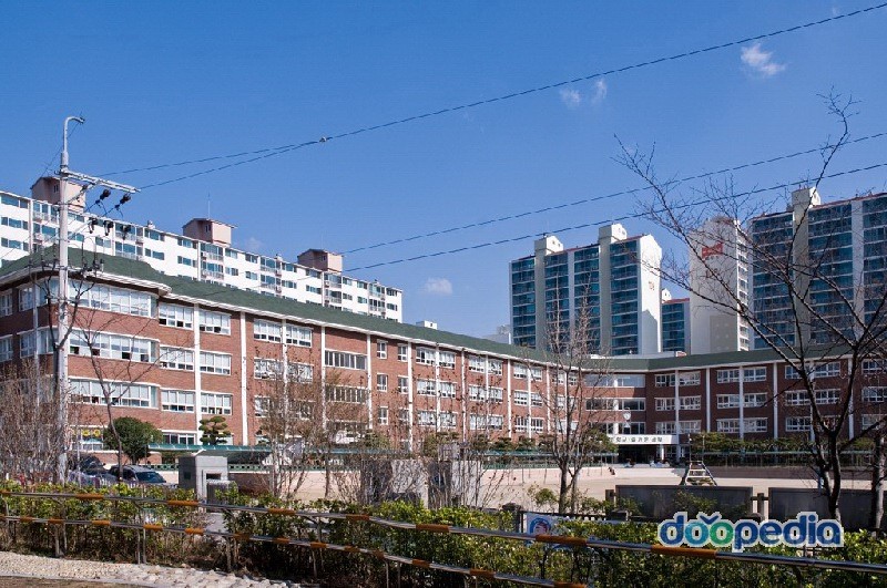 사화초등학교