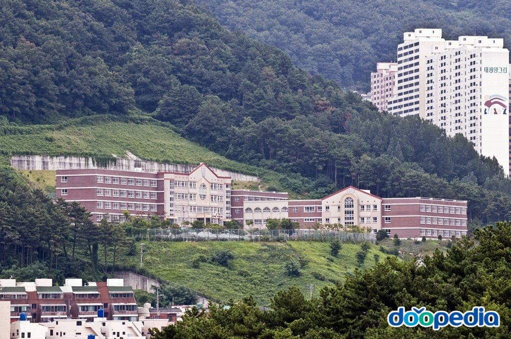 신천초등학교 - 신천초등학교 전경