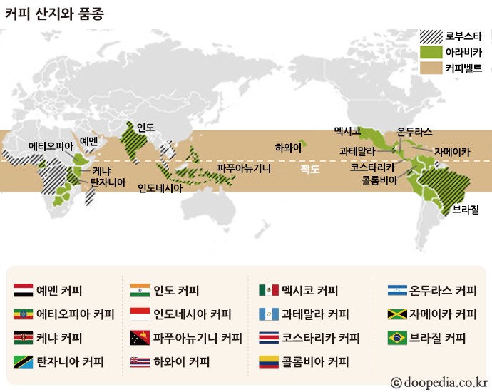 커피 본문 이미지 2