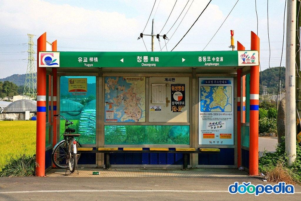 유교리 - 유교리 청룡마을정류장