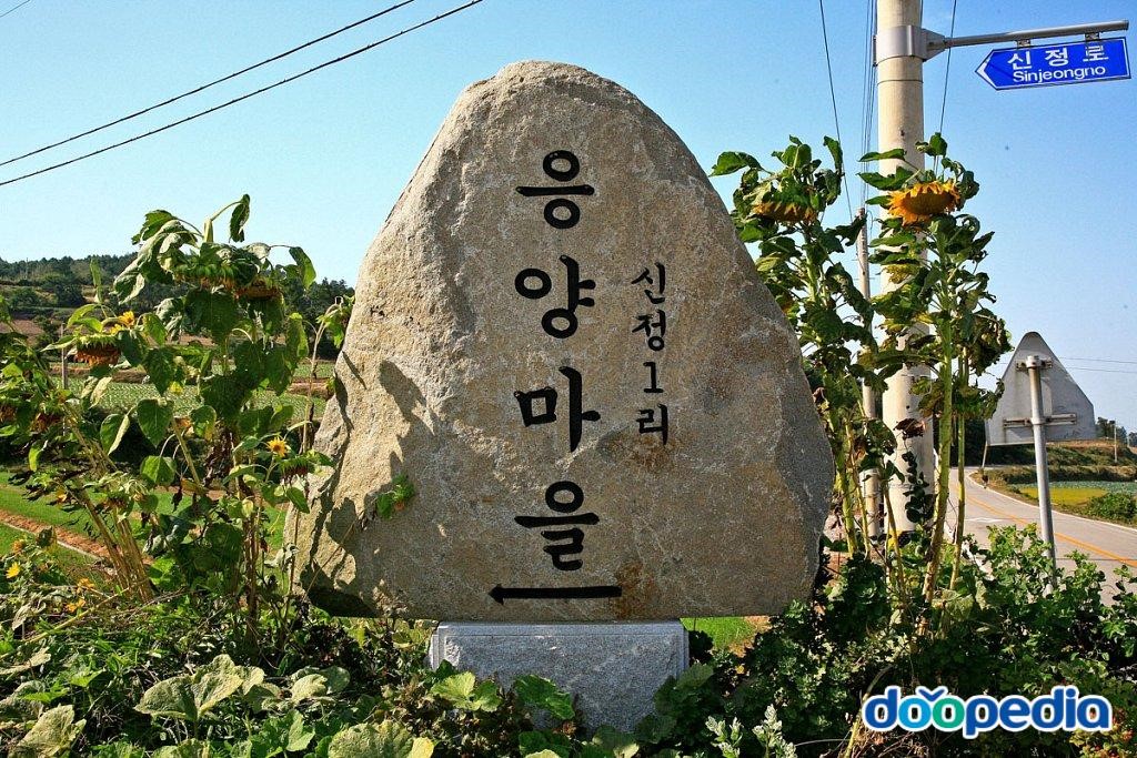 신정리 - 신정리 응양마을표지석