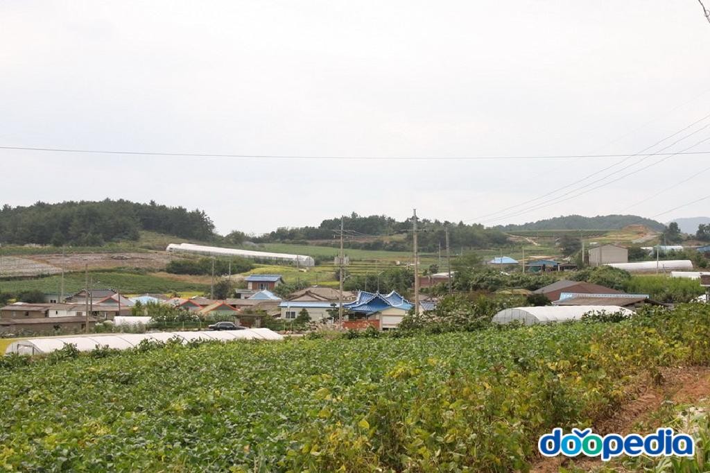 신용리 - 신용리 신촌마을