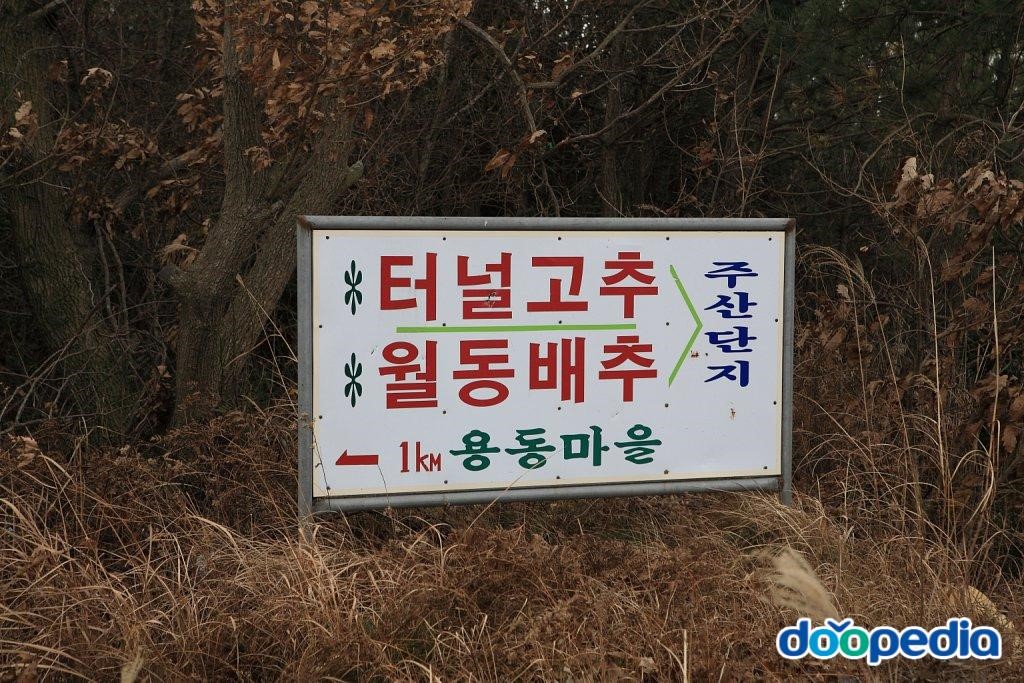 부동리 - 부동리 영동마을표지판