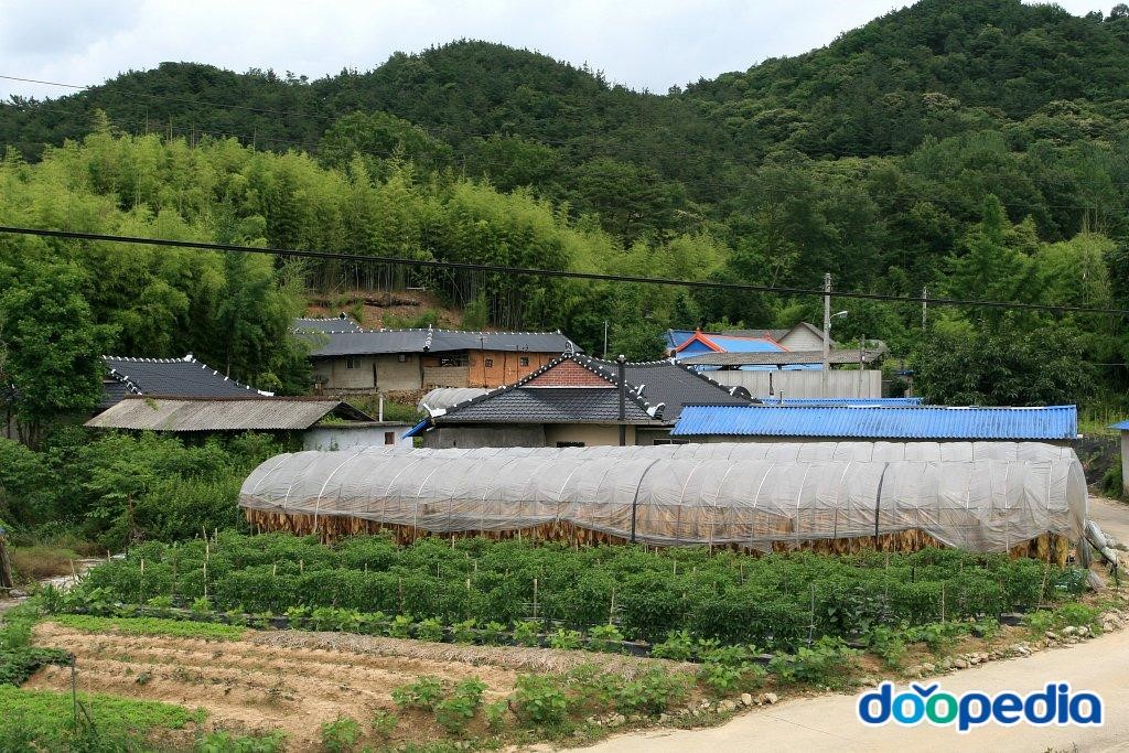 삼오리