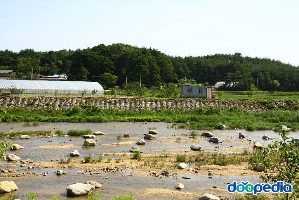 신평리