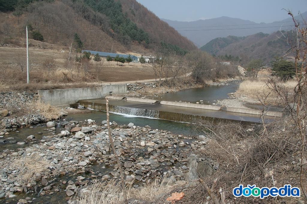 신대리