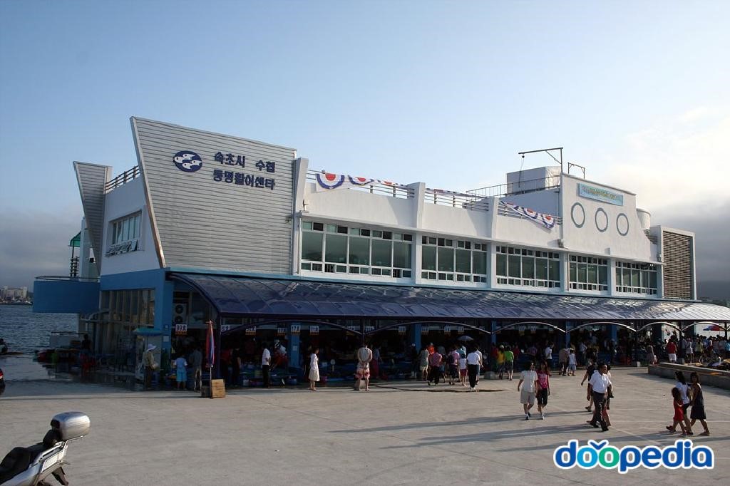 동명항 - 속초 동명항 동명활어센터