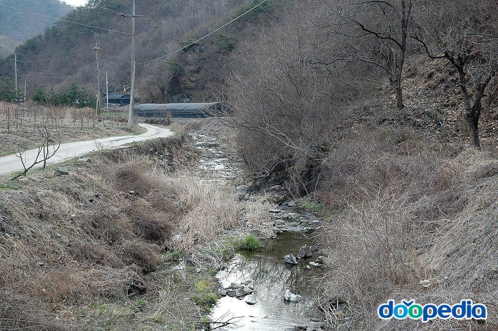 판장리 - 판장리 또랑