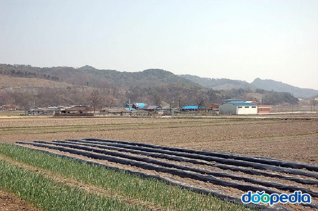 학림리