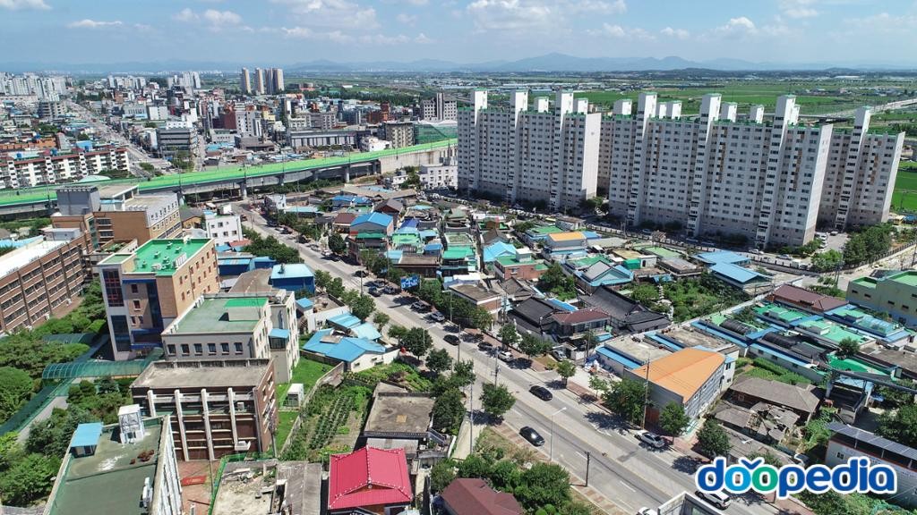 평화동