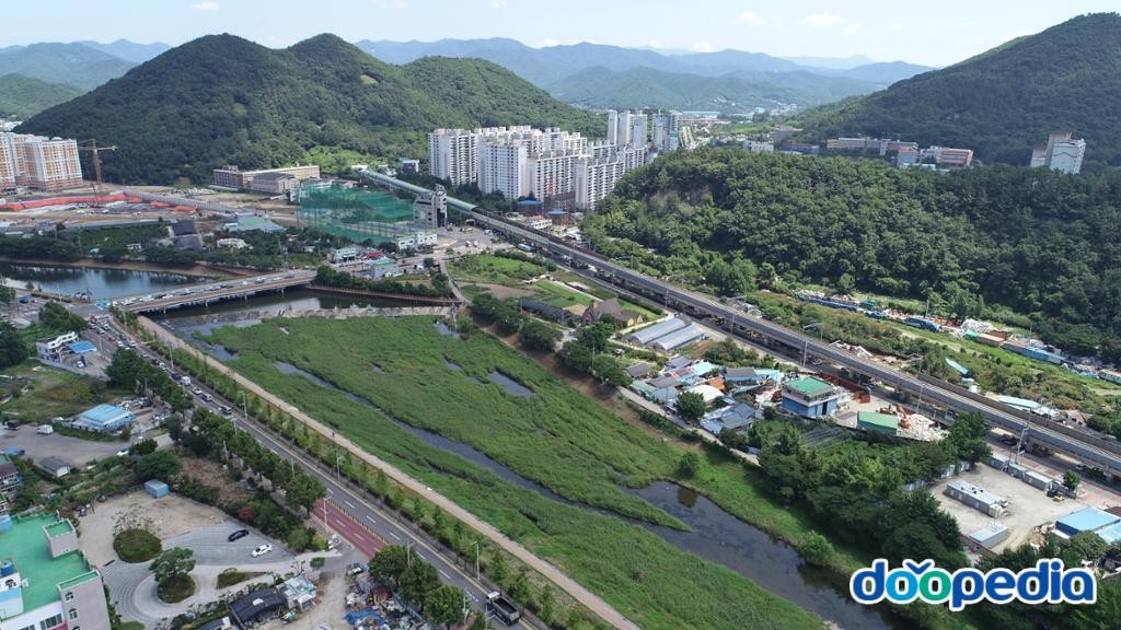 용당동