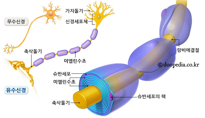 유수신경 - 유수신경 본문 이미지 1