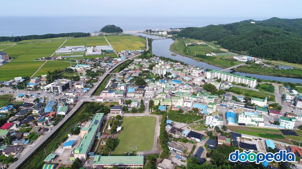 근덕면