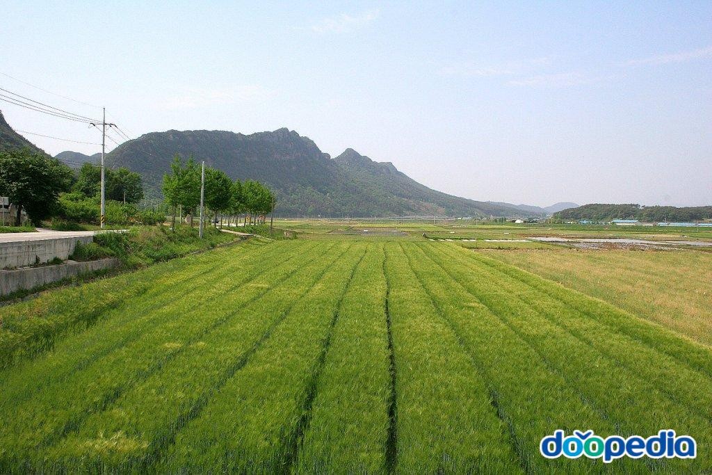 평남리