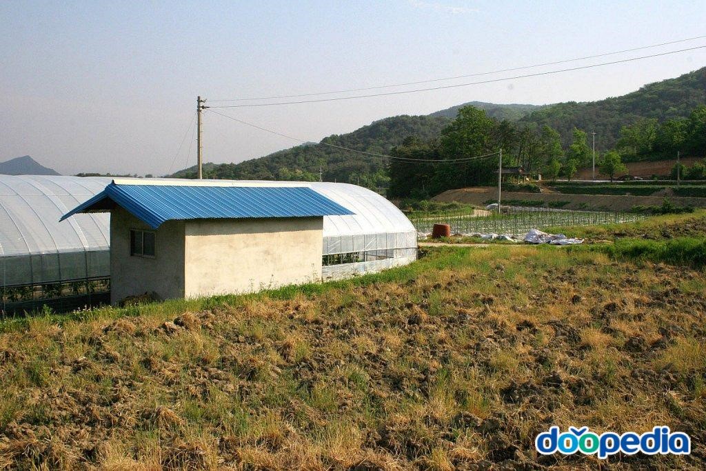 쌍암리