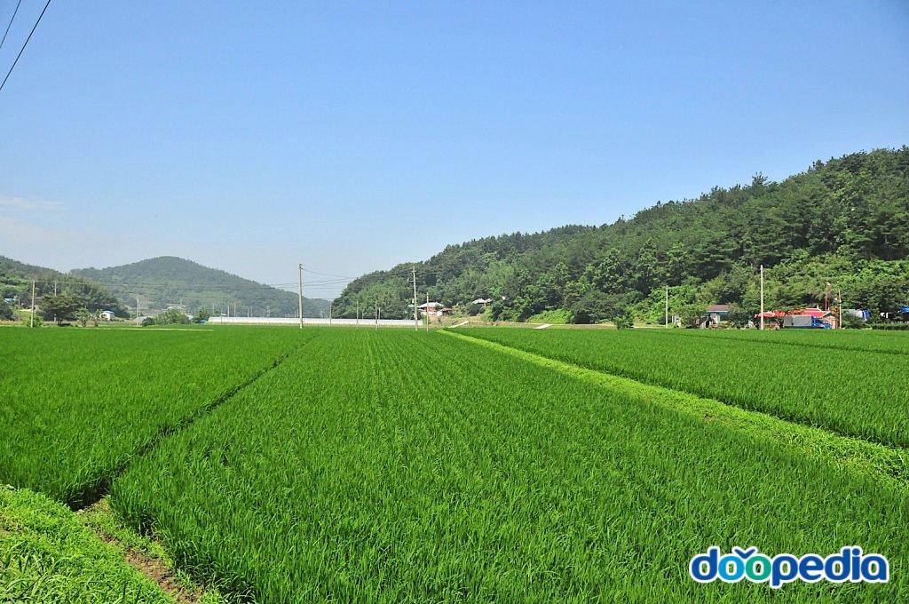 남당리