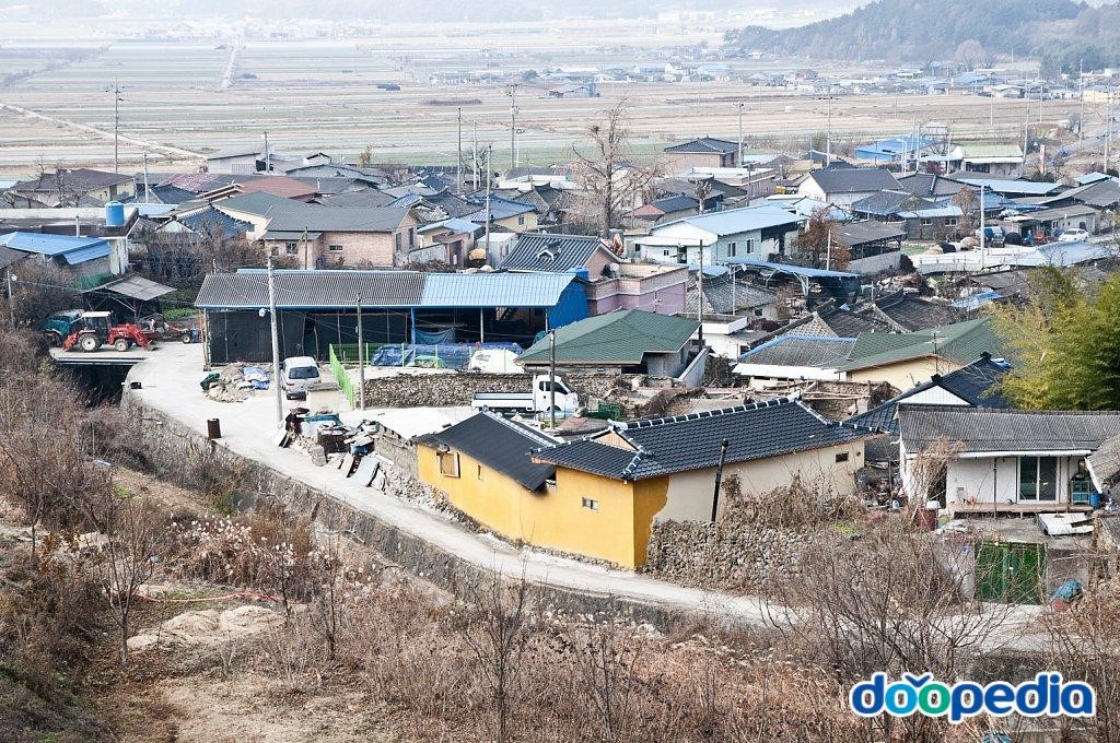 도야리