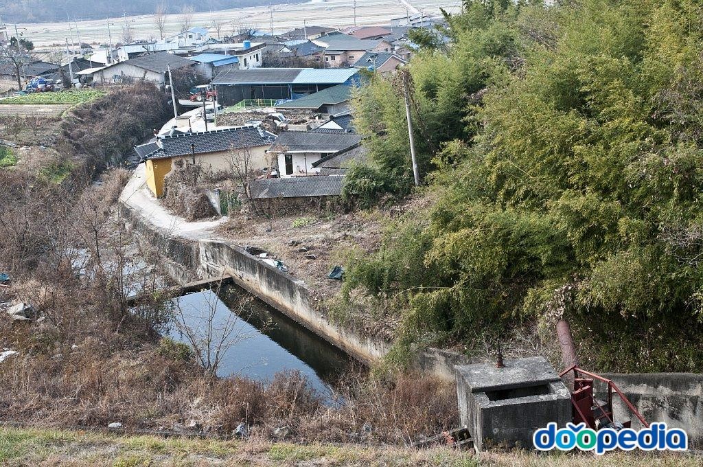 도야리