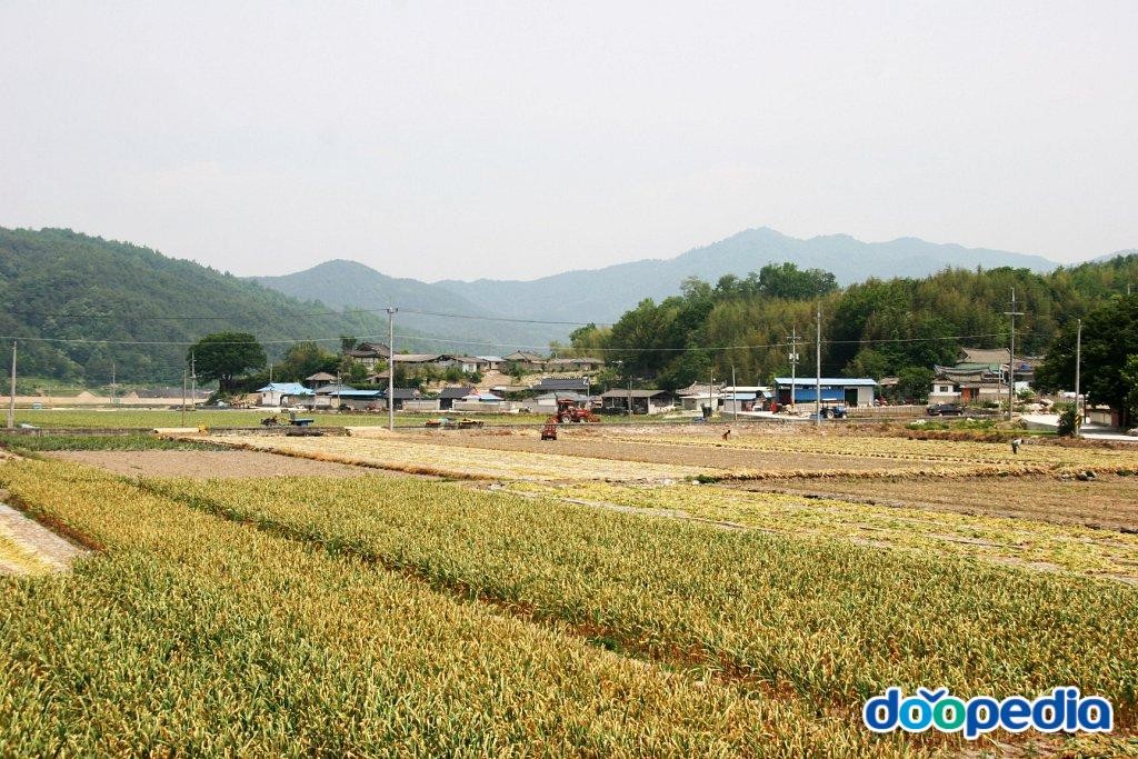 신연리