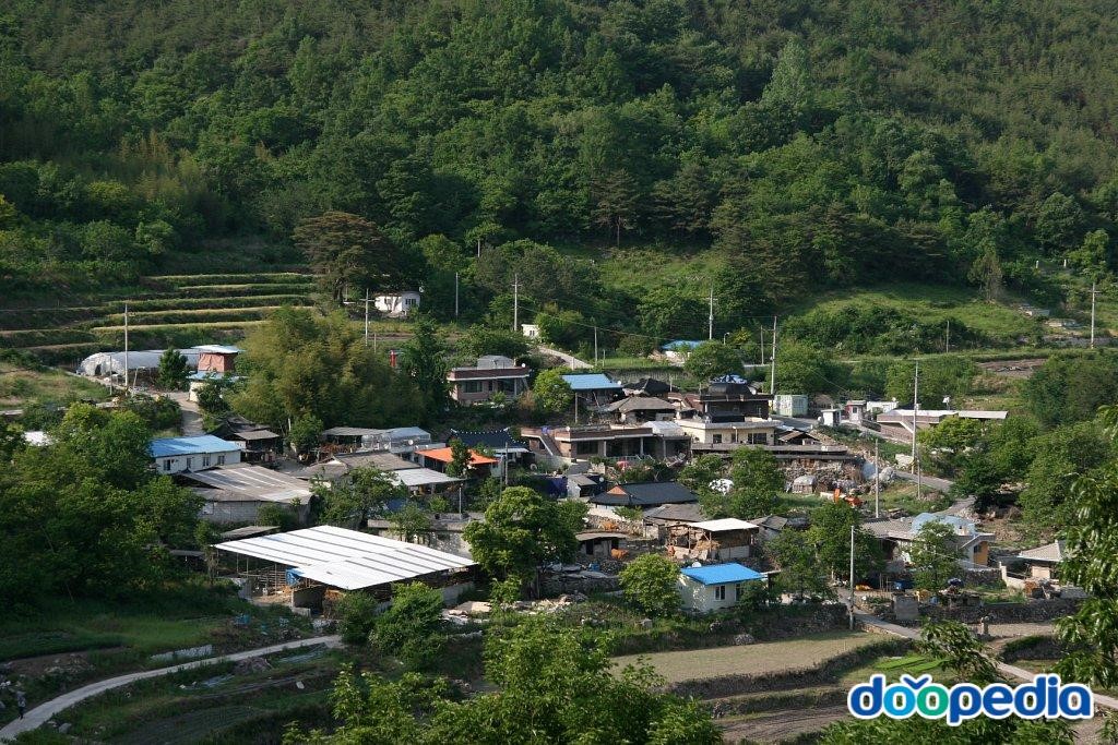 대야리