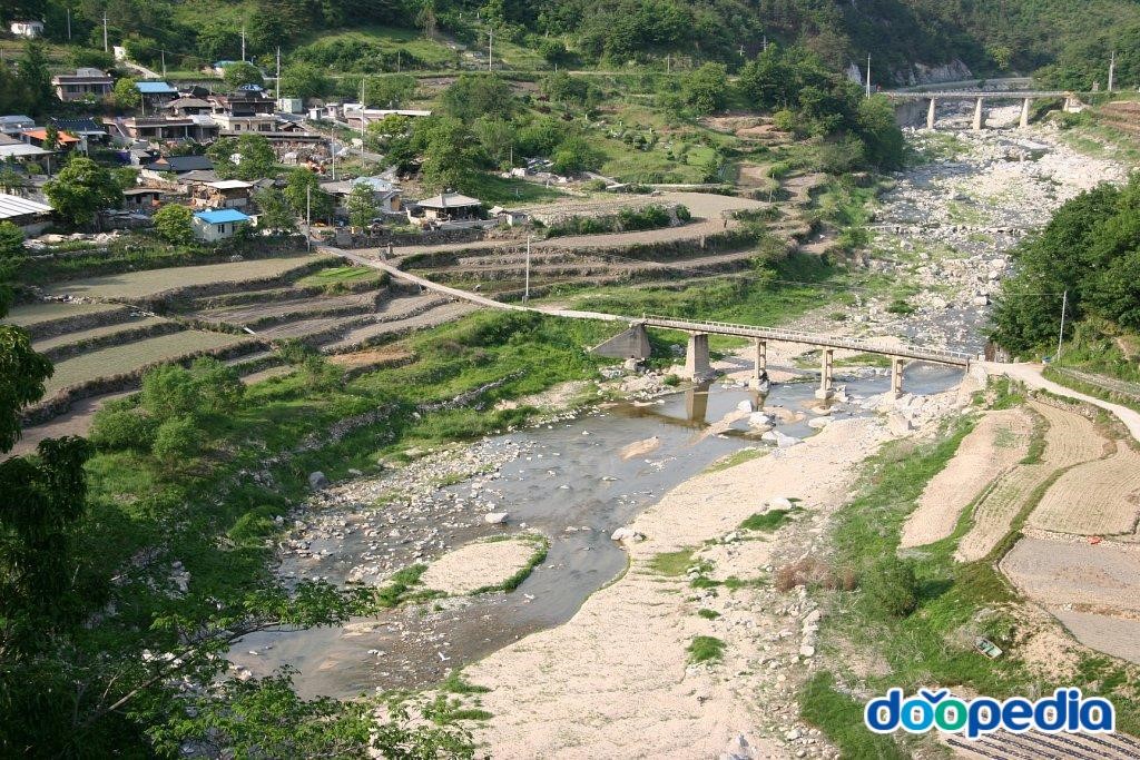 대야리