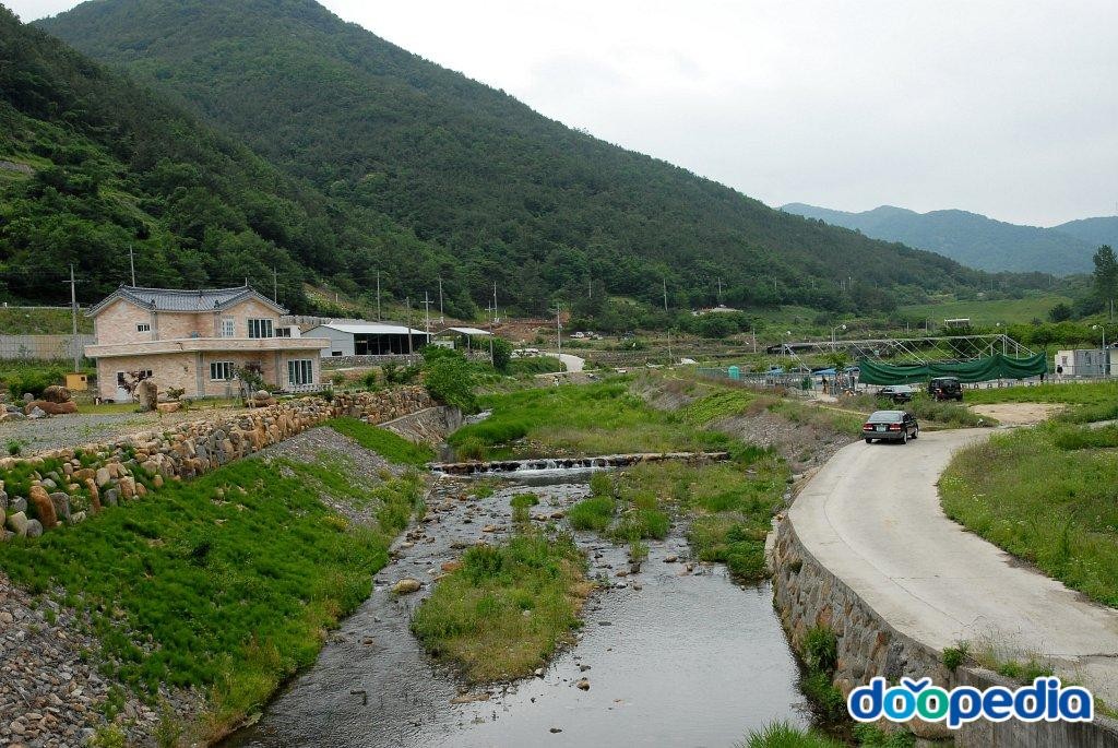 교리