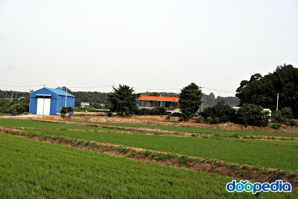 신흥리