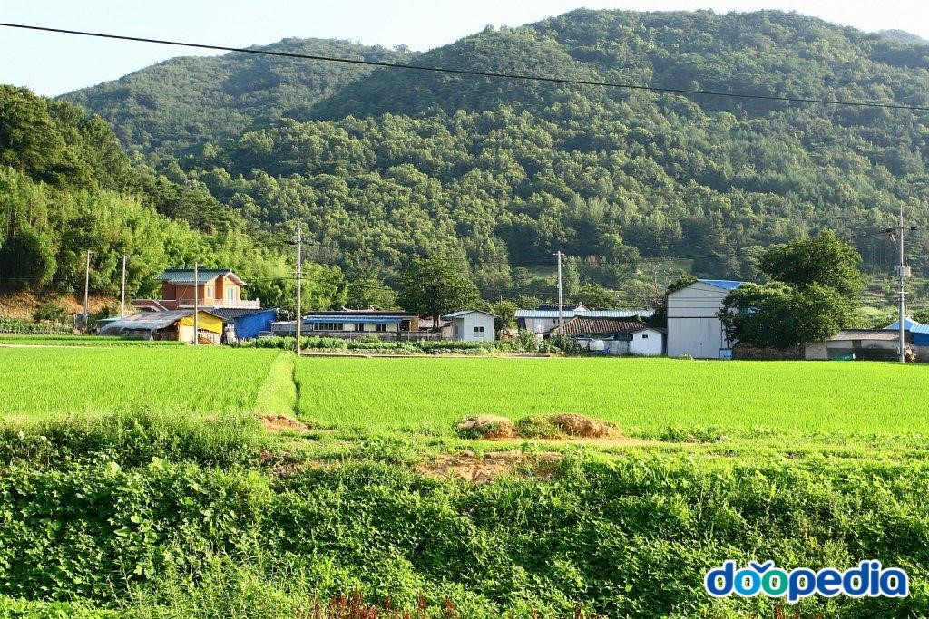 평지리