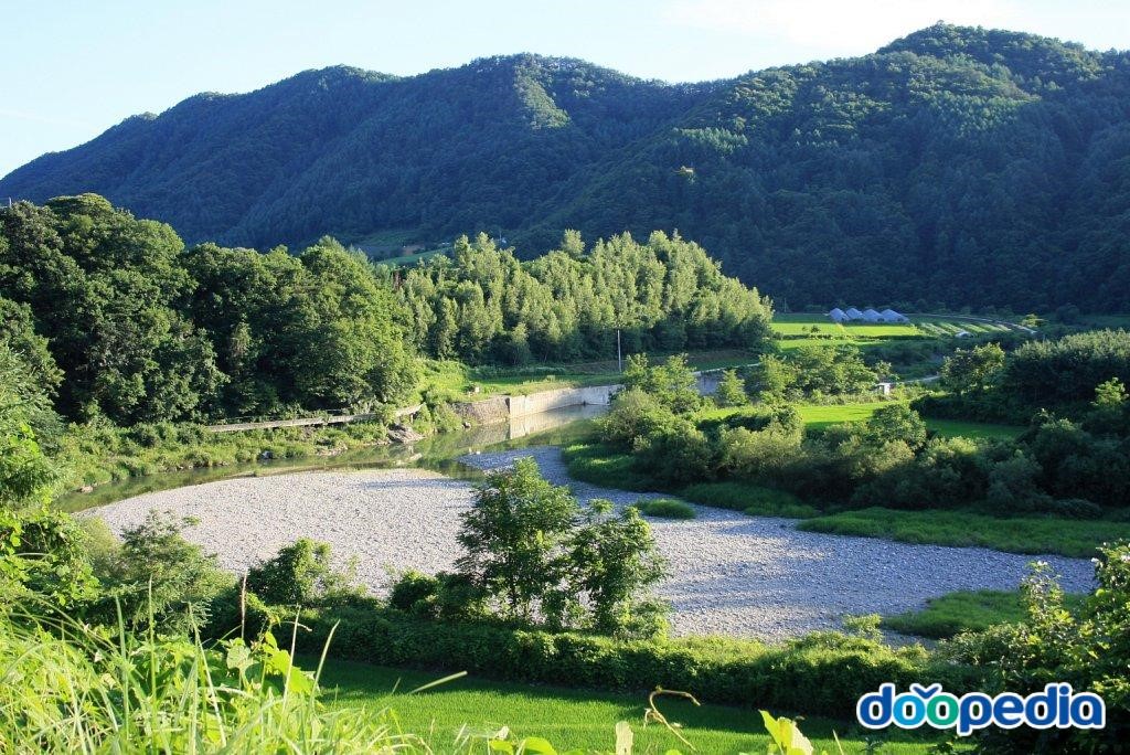 신읍리