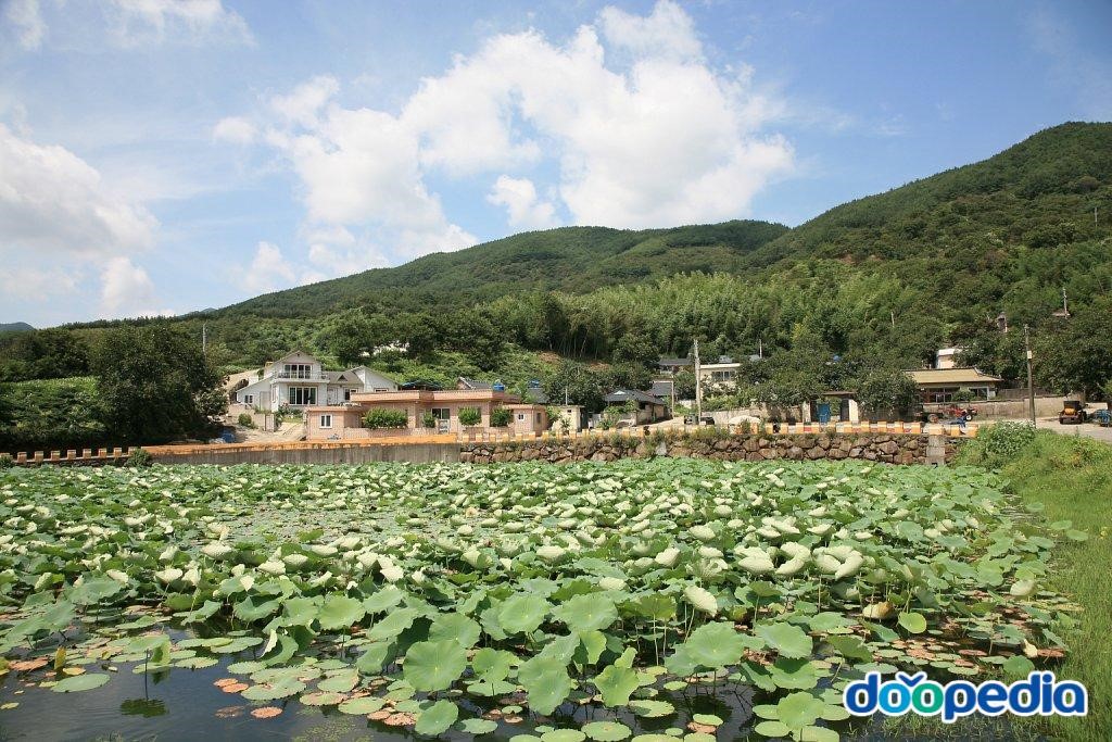 우계리