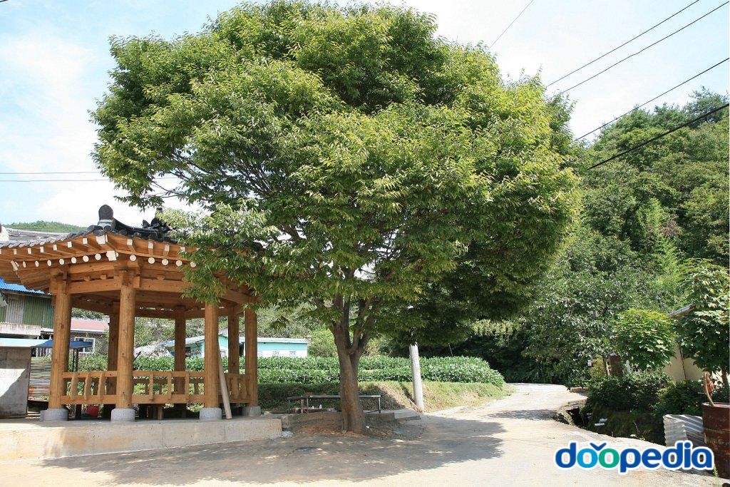 우계리