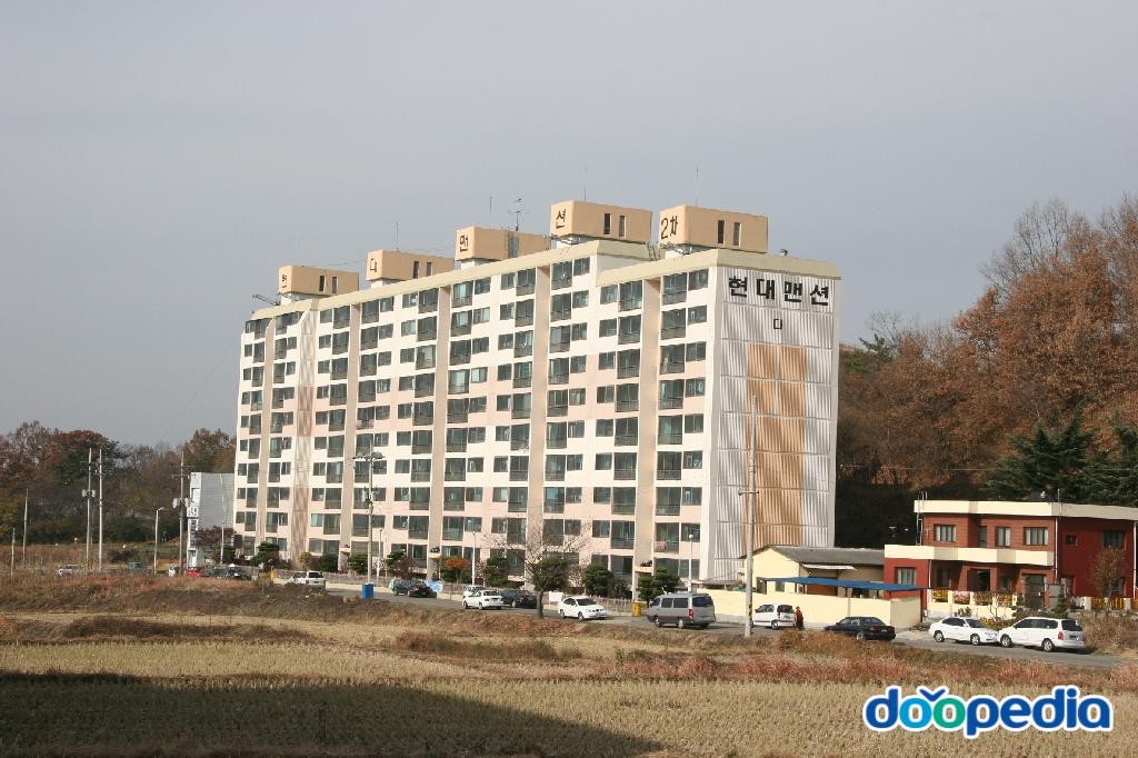 교리