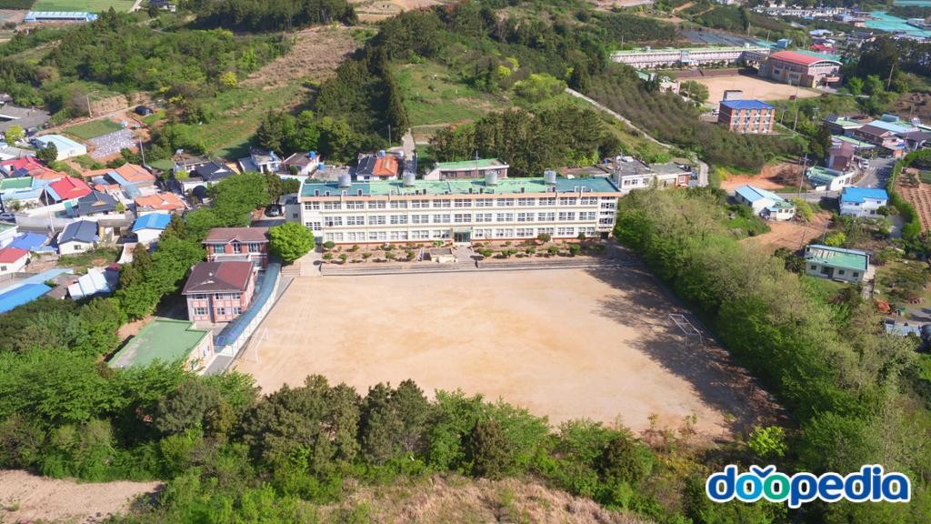 금일읍 - 금일고등학교