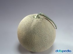 멜론