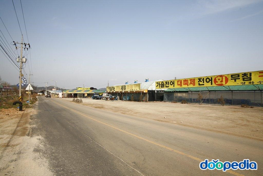 송교리