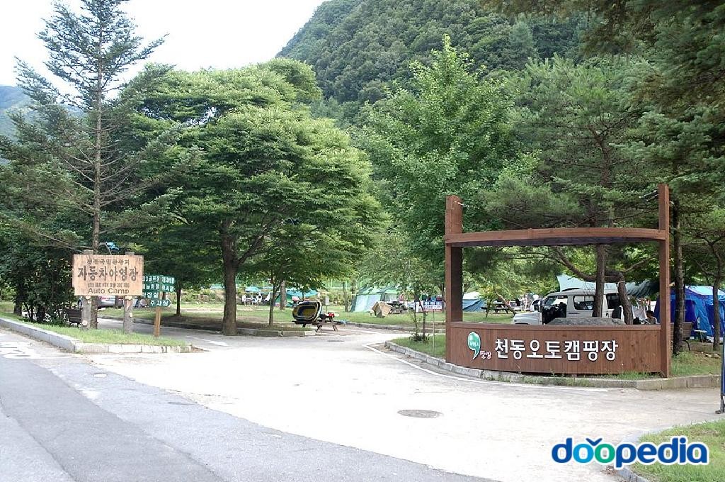 천동리 - 천동리 오토캠핑장