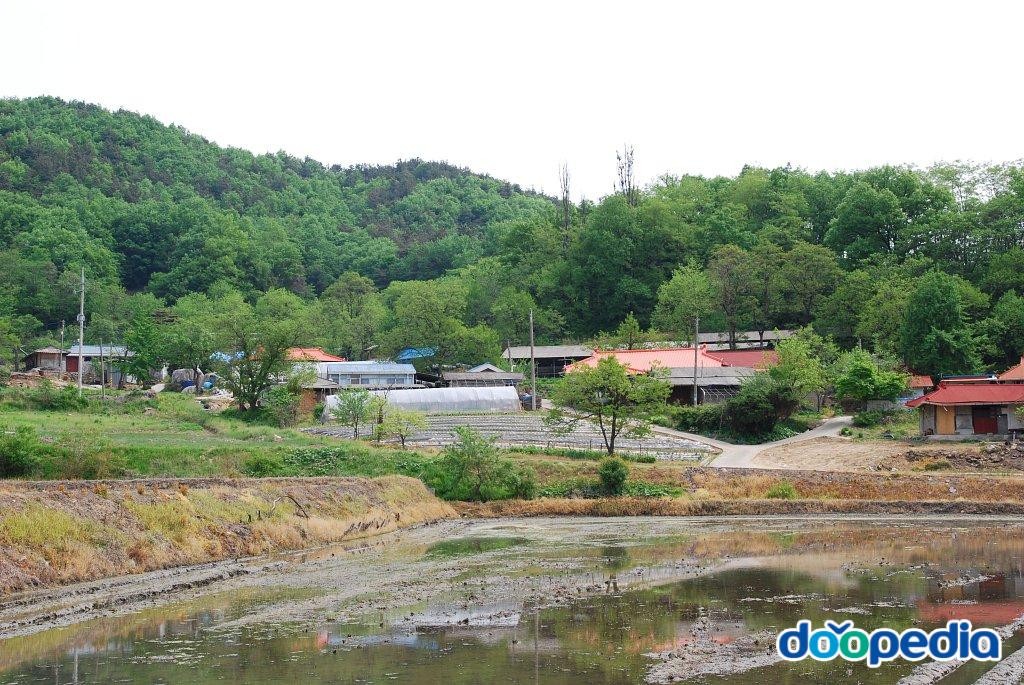 광덕리 - 광덕리 마을풍경