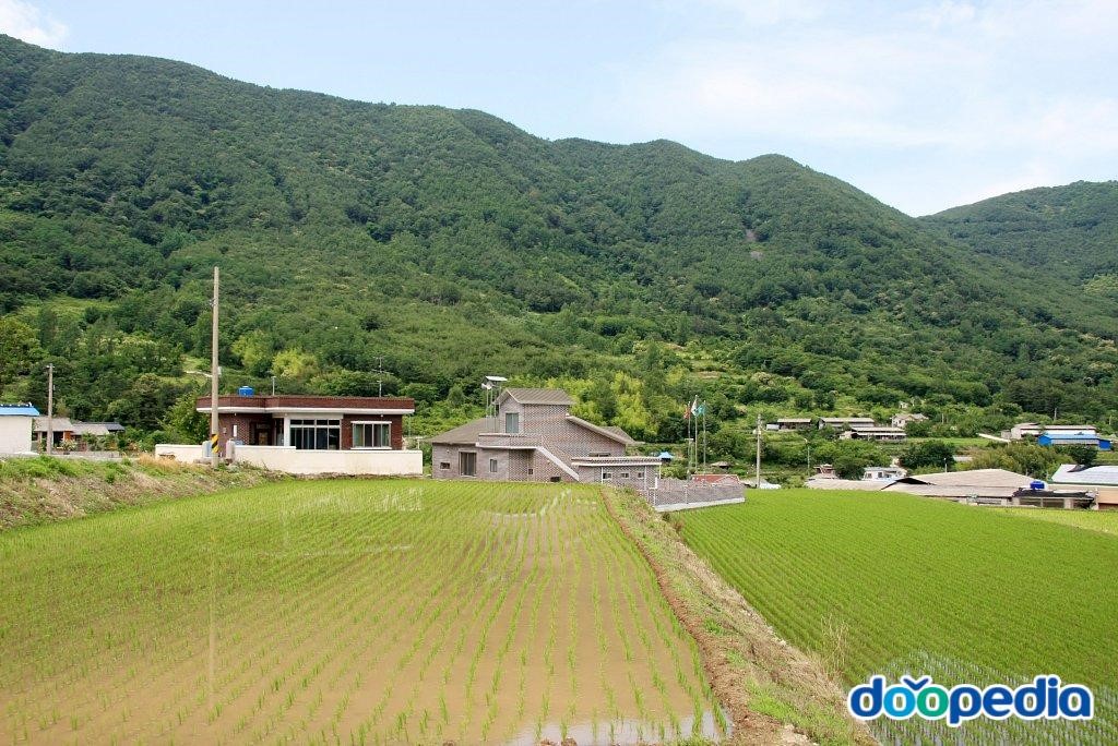 갑을리