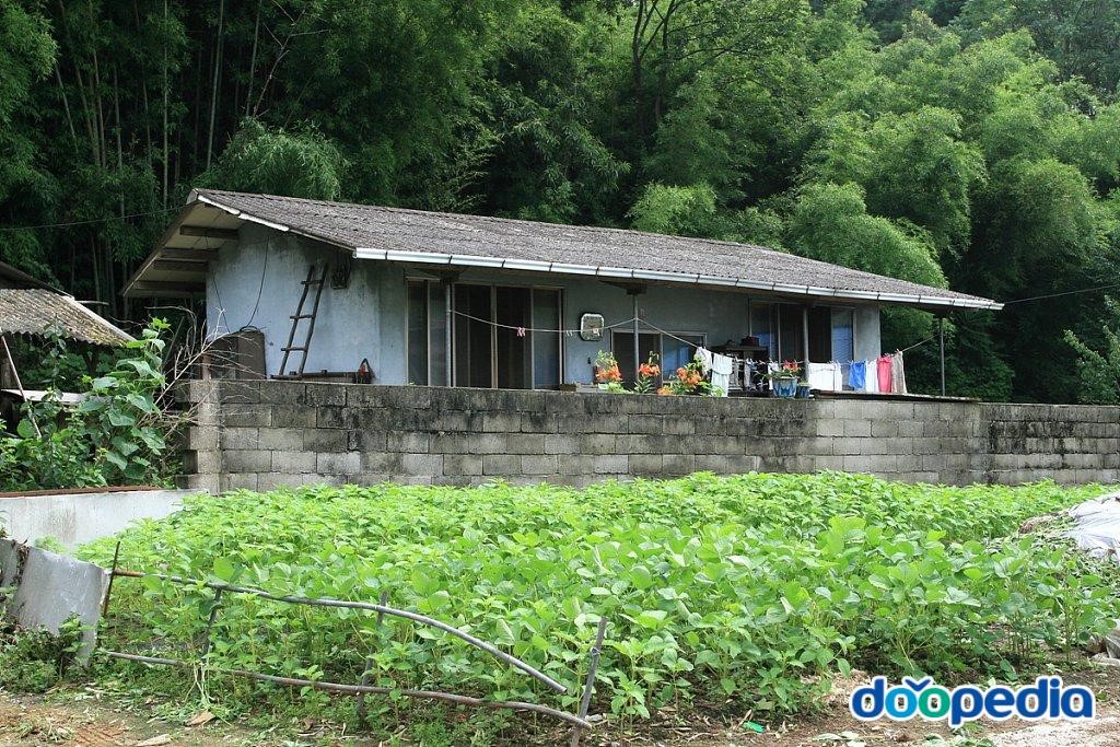 운교리