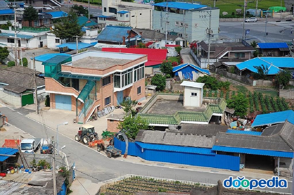 대사리