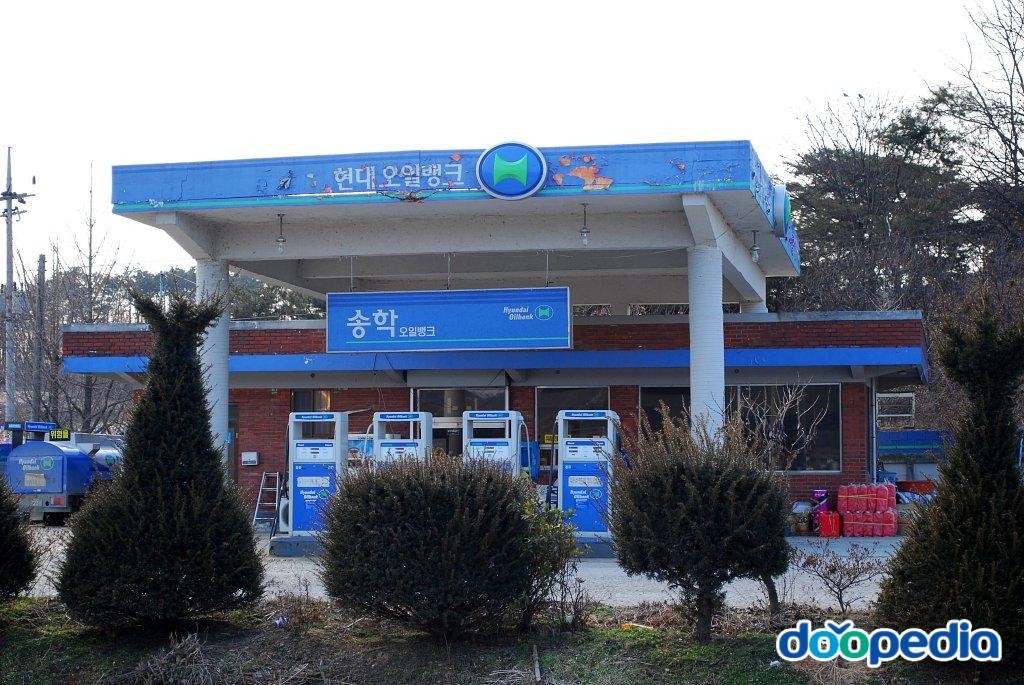 송학리 - 송학리 주유소