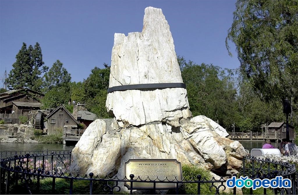 규화목