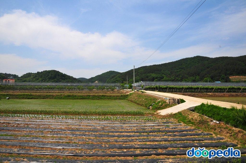 마산리 - 마산리 하마산마을