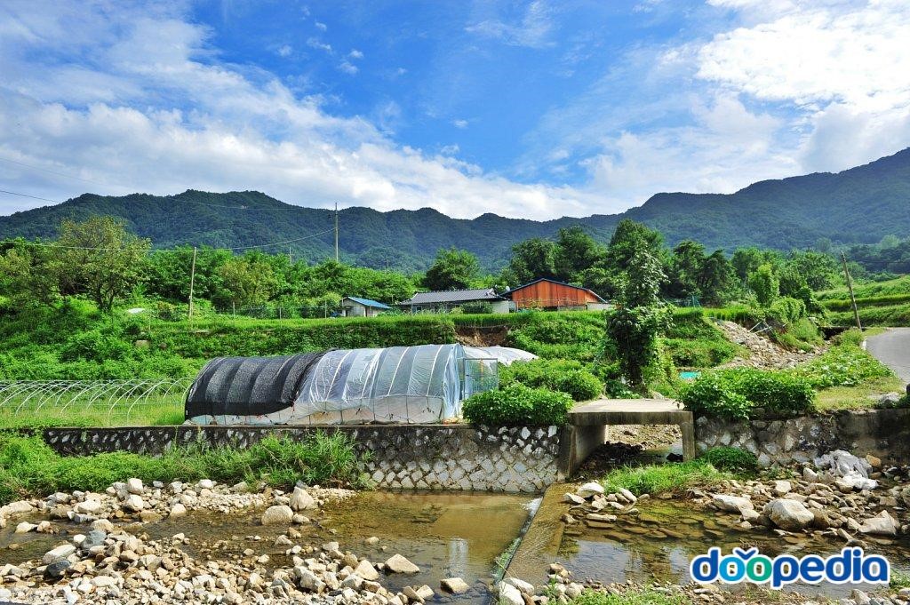 신리