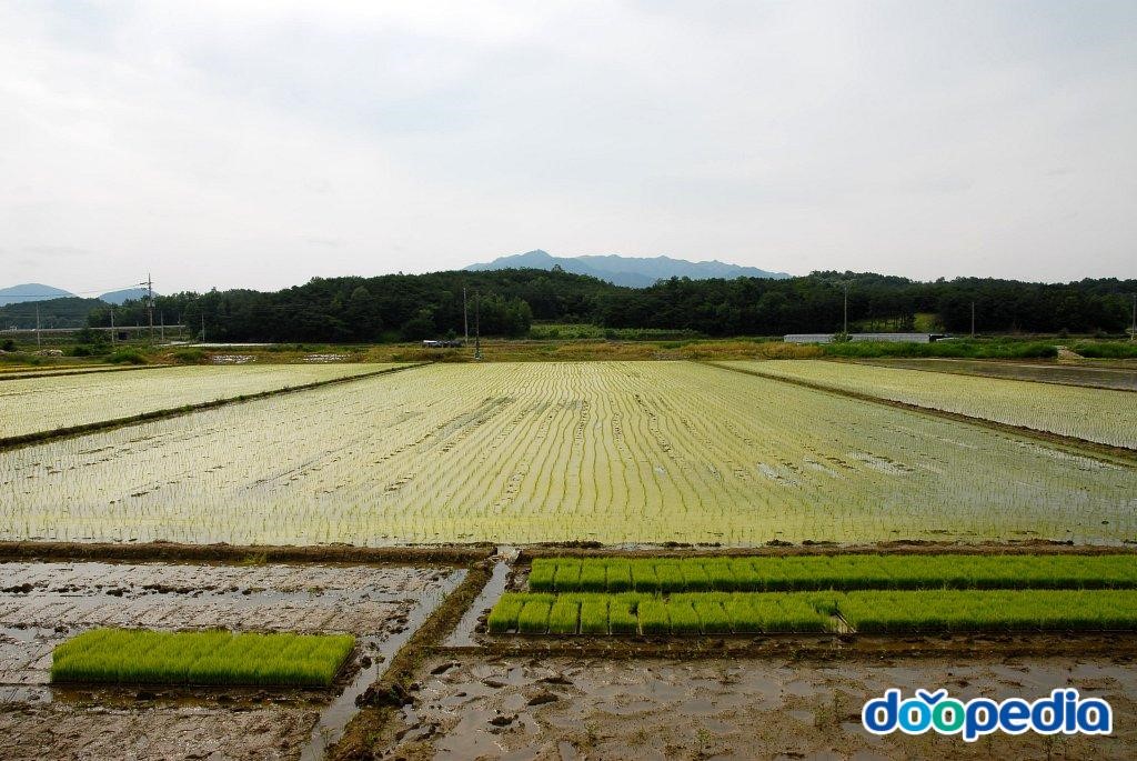 모전리